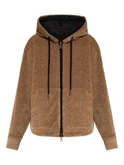 MONCLER SWEATERS BROWN
