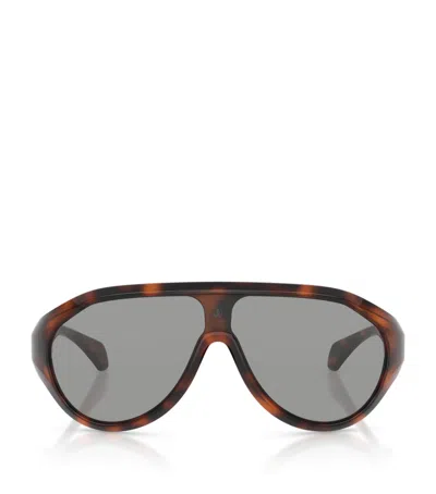 Moncler Tortoiseshell Bombolle Sunglasses In Brown