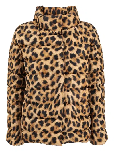 Pre-owned Moncler Vintage  Leopard-print Puffer Jacket