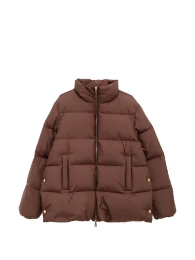 Moncler Vivantesse Quilted Down Jacket In Brown