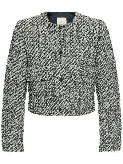Moncler Women Dauphin Padded Jacket In Gray