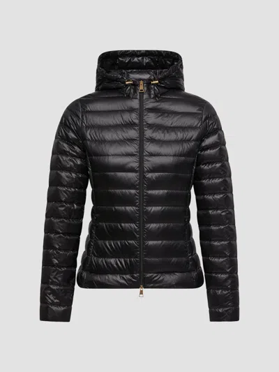 MONCLER WOMEN'S IGELHOOD PUFFER COAT