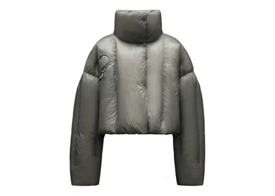 Pre-owned Moncler Women's  X Dingyun Zhang Aloby Short Down Jacket In Grey