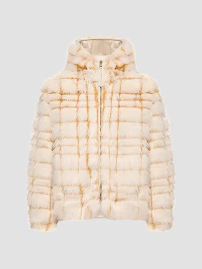 Moncler Pluvier Short Padded Jacket In Neutral