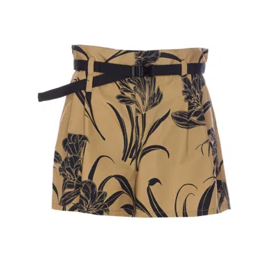 Moncler Women Shorts In Brown