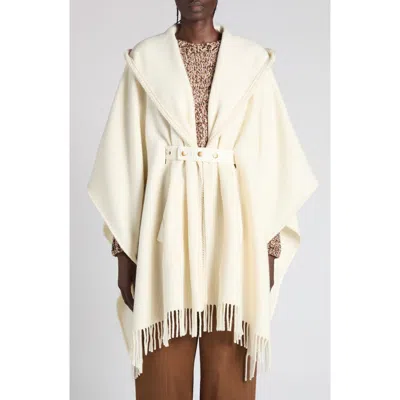 Moncler Wool Hooded Cape In Multi