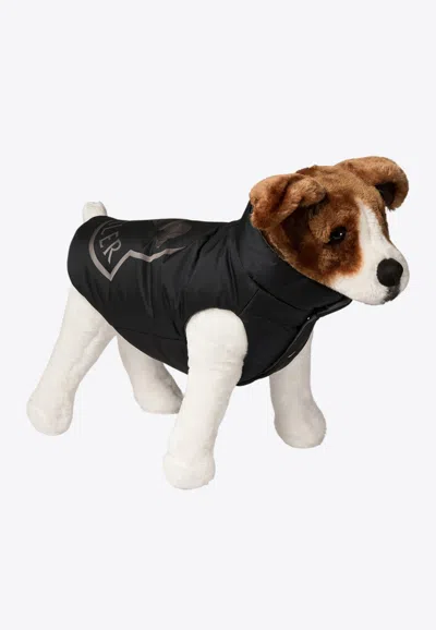 Moncler X Polda Padded Dog Vest In Blue