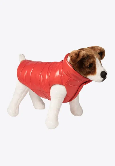 Moncler X Polda Padded Dog Vest In Red
