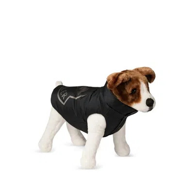 Moncler X Poldo Dog Couture General Accessories In Black