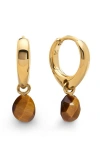 Monica Vinader Nura Tiger's-eye Drop Huggie Hoop Earrings In Gold