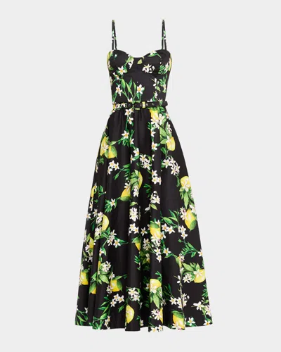 Monique Lhuillier Lemon-print Sleeveless Belted Corset Midi Dress In Noirmulti