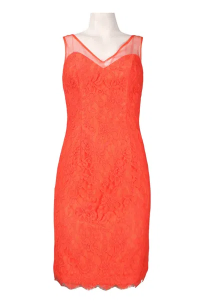 Monique Lhuillier Women's Illusion V-neck Lace Dress In Apricot In Beige