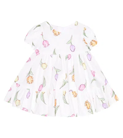 Monnalisa Baby Floral Cotton Dress In Bianco