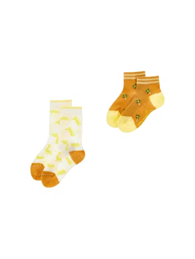 Monnalisa Babies'   Dinosaur Socks In Multi