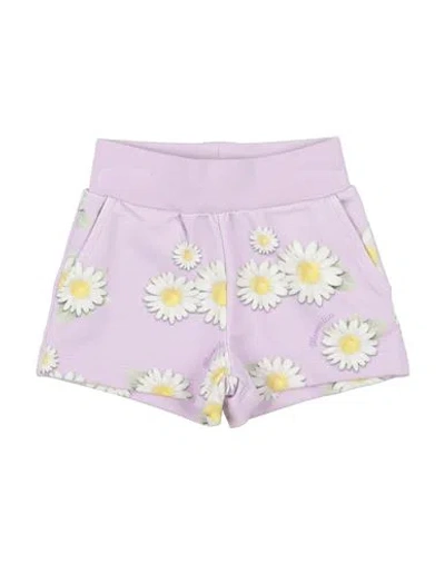 Monnalisa Babies'  Newborn Girl Shorts & Bermuda Shorts Lilac Size 3 Cotton, Elastane In Purple