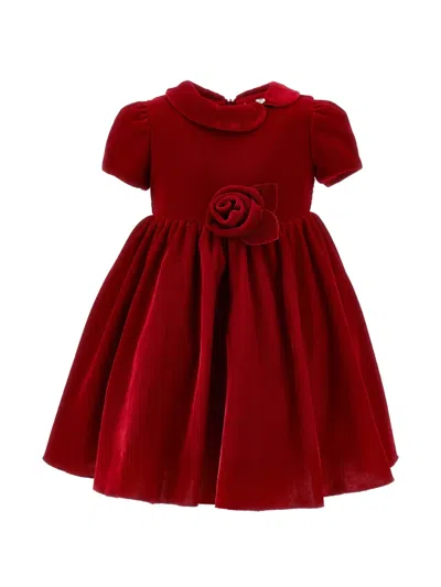 Monnalisa Babies' Rose-appliqué Peter Pan-collar Dress In Red