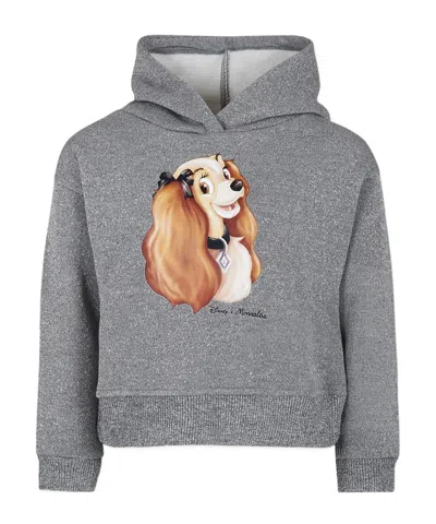 Monnalisa X Disney Lady  The Tramp Lurex Hoodie In Gray