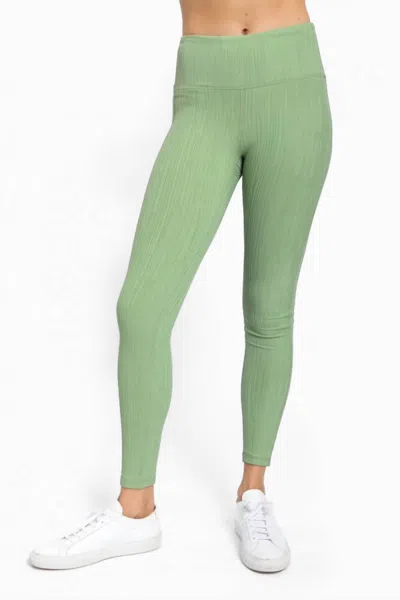 Mono B Tactel Textured Lines Leggings In Fair Green In Multi
