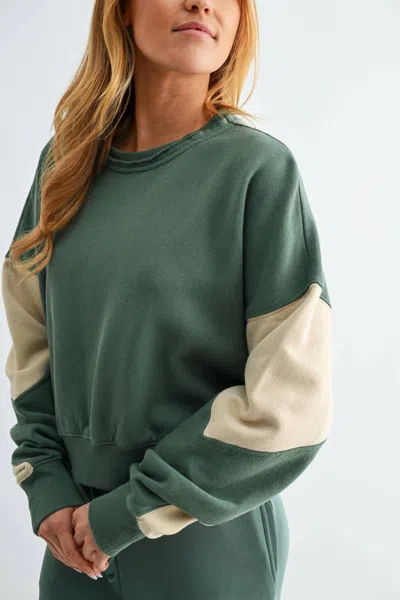 Mono B Vintage Vibes Color Block Sweater In Eldergreen In Green