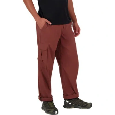 Mons Royale All Mission Pant In Brown