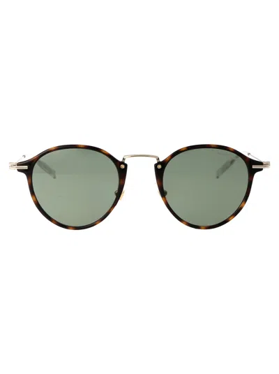 Montblanc Havana Gold Green Acetate Sunglasses