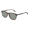 Montblanc Sunglasses In Brown