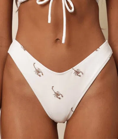 Montce Added Coverage Lulu Zig-zag Stitch Bikini Bottom In Scorpion In Multi
