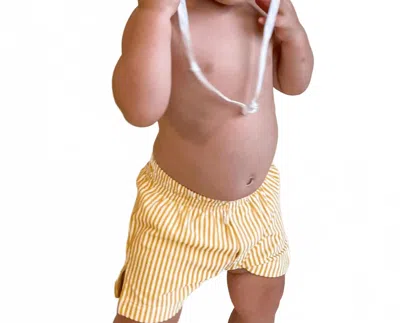 Montce Kids' Boy's Mini Swim Trunk In Canary Stripe In Animal Print