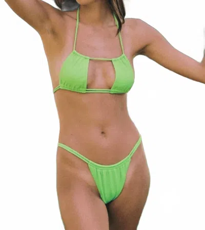 Montce Brasil Bikini Bottom In Lima Micro Rib In Green