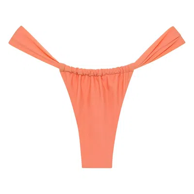 Montce Coral Sandra Bikini Bottom In Pink