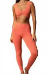 Montce High Rise Wide Band Leggings In Coral Rib In Black