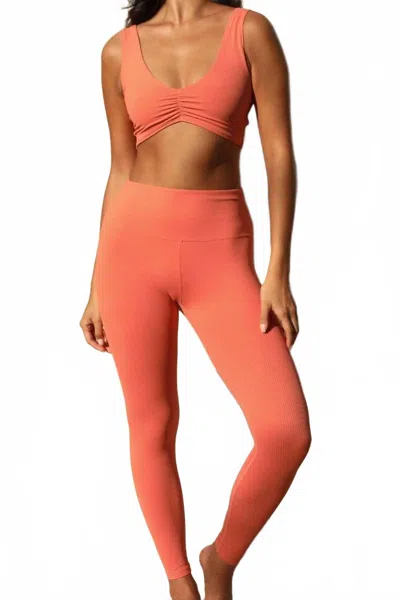 Montce High Rise Wide Band Leggings In Coral Rib In Neutral