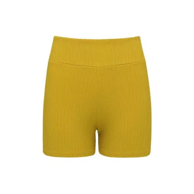 Montce Key Lime Micro Scrunch Classic Bike Short In Multi