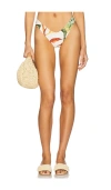 Montce Lulu Bikini Bottom In Multi