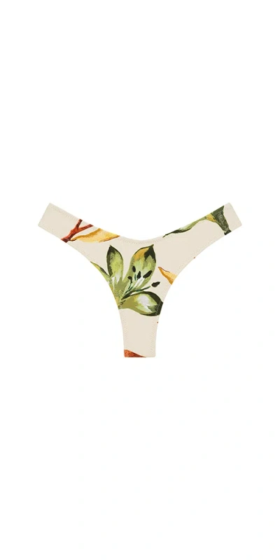 Montce Lulu Bikini Bottom Rooted Floral In Multi