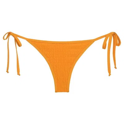 Montce Mari Scrunch Tie-up Bikini Bottom In Multi