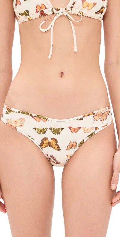 Montce Monarch Lulu Bikini Bottoms Monarch In Multi
