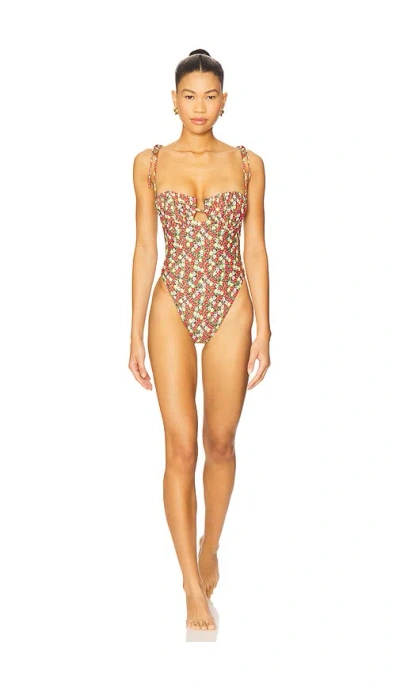 Montce Petal One Piece In Brown