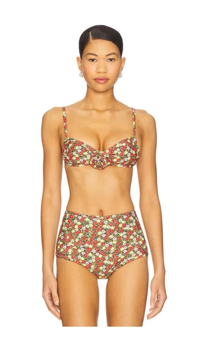 Montce Rosa Devin Bikini Top In Sienna Floral