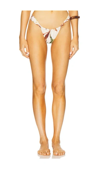 Montce Sandra Bikini Bottom In Brown