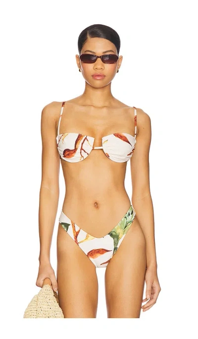 Montce Simonette Bikni Top In Multi