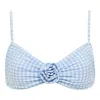 Montce Swim Women's Blue Peri Micro Gingham Devin Rosa Bikini Top In Blue
