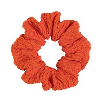 Montce Tangerine Chunky Scrunchie In Orange