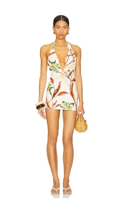 Montce Tropez Mini Dress In Multi