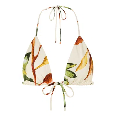 Montce Women's Rooted Floral Emma Bikini Top In Multi