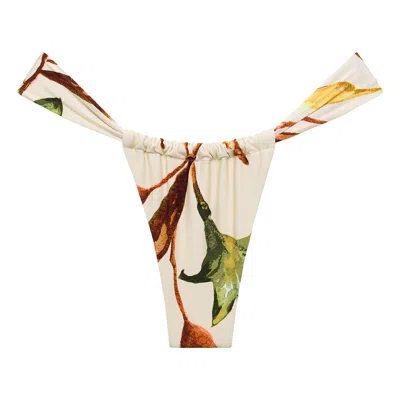 Montce Women's Rooted Floral Sandra Bikini Bottom In Brown
