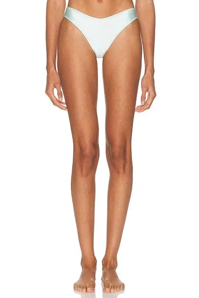 Montce X Elsa Hosk Lulu Bikini Bottom In Multi