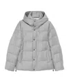 Montecore Hooded Padded Jacket In Gray