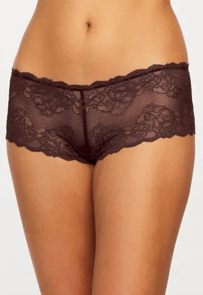 Montelle Intimates Cheeky Lace Boyshort In Chestnut Brown In Multi