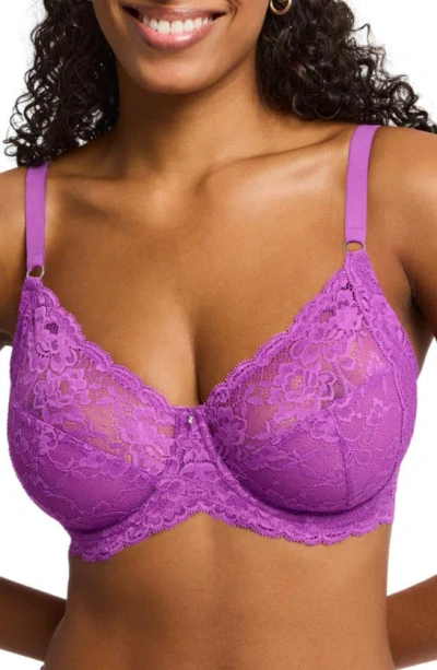 Montelle Intimates Montelle Intimate Muse Full Cup Lace Bra In Dahlia